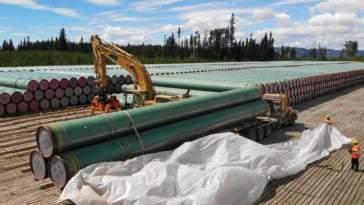 Federal fishery officials are conducting an investigation into the pipelines effects on key salmon habitats.