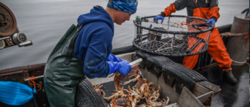 Prince Rupert crab fisher Chelsey Ellis working on a boat.