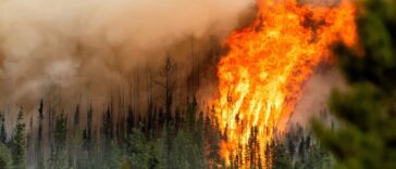 Flames from the Donnie Creek wildfire burning along a ridge-top near Fort St John, B.C.