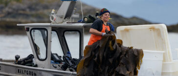 Kelp harvester on the coast of British Columbia