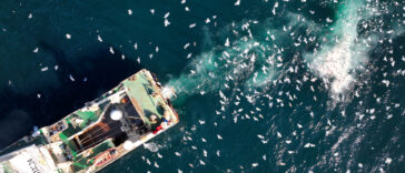 A factory trawler