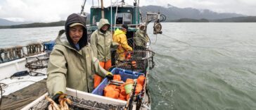 Crab harvesters