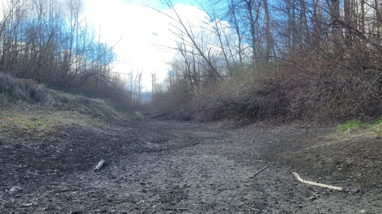 Dry waterway near Backwash Slough, Chilliwack.