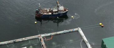 Aerial view of BC fish farms on the coast