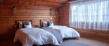 wooden cabin bedroom with two large beds next to a window