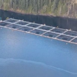 A Cermaq fish farm