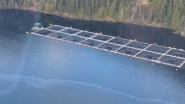 A Cermaq fish farm
