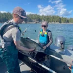 UBC Researchers studying impacts of catch-and-release methods in sports fishing.
